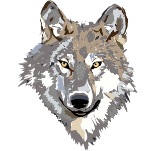 rendering of a wolf 